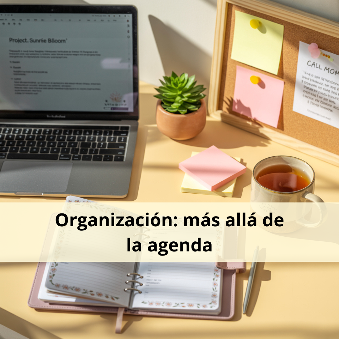 Organización escolar